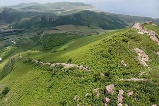 伊万科维奇谈山东泰山亚冠前景：虽首回合输球，但不一定会被淘汰